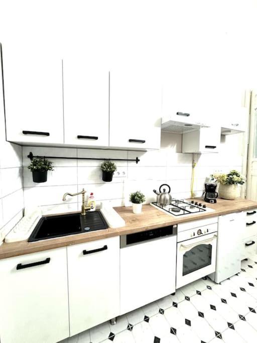L3 Centre Stylish Flat Ac Apartment